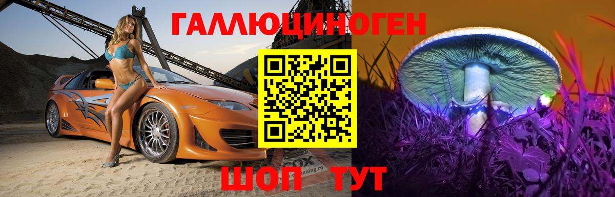 Псилоцибиновые грибы мицелий  наркошоп  Вход с VPN  Видное  Псилоцибиновые грибы Psilocybe 
